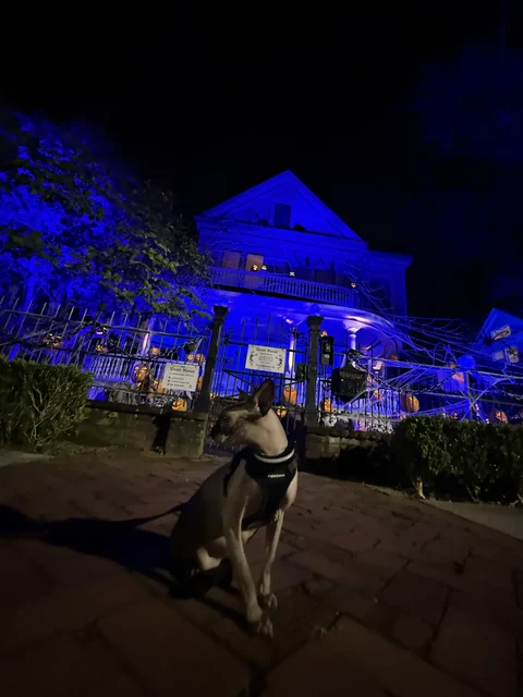 Harry sitting outside at night beneath a brightly blue-lit house