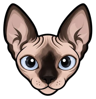 Harry Nudini illustrated cat-head logo
