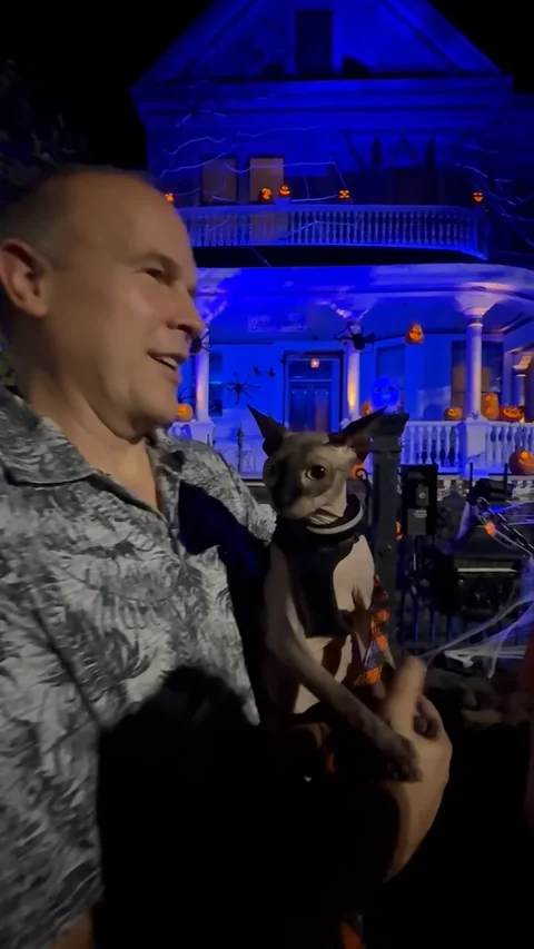 An adult holding Harry outdoors at night in front of a blue-lit house